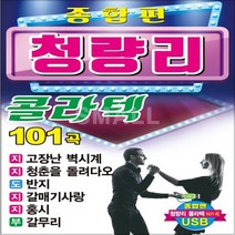 SM146 덕수궁돌담길 눈물의뿌리 잡초 USB 노래 101곡