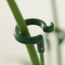 플레노 오링 식물지지대 화초 화분지지대(10개Set), 37cm(10개Set)