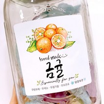 [바보사랑]No.112 금귤 수제청 과일청 스티커 (10매)-랄라예나, 색상:공통|사이즈:공통|스타일:공통|사은품:공통, 단품