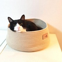 고양이 숨숨집 바구니 코튼 바스켓 베이지 고양이집