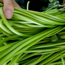 해풍맞은 고구마순 햇 생 고구마줄기 (잎제거), 2kg, 1개