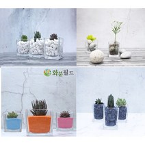 화분월드 백자갈 꿈돌 강자갈 흑자갈 칼라스톤 에그스톤, 홍자갈0호1kg