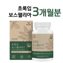 초록입홍합 보스웰리아 하루 두알 보스웰릭산 초록 홍합 우슬 버드나무 껍질 치커리 홈쇼핑 영양제 프리미엄 성분 가격 효능 비교 부모님 엄마 아빠 선생님 등산 선물, 3개월분, 1000mg x 60정 (하루두알)