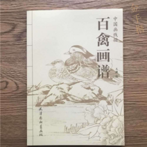 새 화조도 밑그림 도안집 드로잉 민화 한국화 그리기