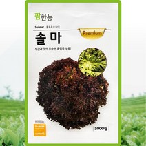 솔마 상추 씨앗 유럽상추 씨 종자 5000립, 단품