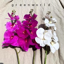 그린월드 조화 호접란가지_3color, 연한자주색