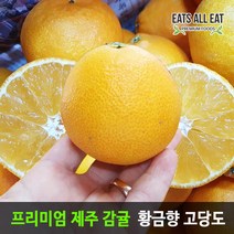 이츠올릿 제주 고당도 황금향 못난이 5kg 중과 14-40과 제주도 감귤 택배 한라봉 천혜향 레드향 밀감