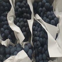 가람상점 씨없는포도 샤인머스켓 애플 청포도 블랙사파이어 크림슨적포도 1kg 2kg 3kg 4kg, 1개, 국산 씨있는  캠밸포도1kg