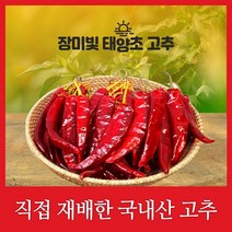 하우스 건조 국내산 장미빛 태양초 보통맛 건고추 10근(6kg), 장미빛 일반 보통맛 건고추
