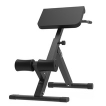 백익스텐션 척추 기립근 운동 복근 운동기구 홈짐