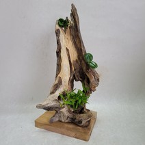 목부작, 16
