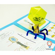 박테리오파지 (5인)