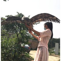 에어컨실외기비둘기퇴치 모형 독수리 보라매 참수리 비둘기퇴치법 비둘기가싫어하는것 까마귀퇴치법 까치퇴치기, 다크 그레이 독수리  1.5m개