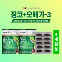 부모님 중년 노년 여성 남성 기억력 인지력 개선 집중력 감퇴 저하 시 뇌 두뇌 머리 혈관 혈액 혈류 순환 건강 관리 에 좋은 징코 오메가3, 2BOX(4개월분)