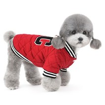 준성 강아지용 C타입 항공 점퍼, 레드