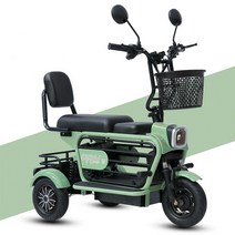 세발전기자전거 삼륜 배달 3륜 미니 접이식 부모 자녀 가정용 전자 10 인치 3 바퀴 350W, green+20ah battery