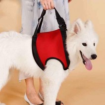 강아지슬개골보호대 무릎 탈구 다리 보호 십자인대 애견 보조기 깁스 애완 밴드 반려견, L-대형, V