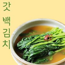 HACCP 여수 돌산갓 물김치 백갓김치 갓물김치 3kg 갓김치 묵은지갓김치 2kg, 묵은지 갓김치 2kg