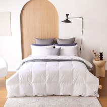 소프라움 AK수원점 소프라움 유러피안 구스 이불솜 Q(퀸) STANDARD E90, 화이트