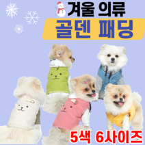 강아지 골덴 골댄 겨울 패딩 패팅 준비 의류 옷 기모 가슴둘레 여유 하네스 기능 반려견 소형견 중형견 아이보리 그린 블루 핑크 옐로우 산책 외출 몰티즈 비숑 파피용 데일리 찬바람, L