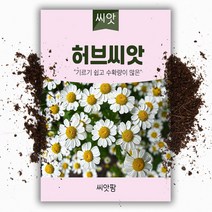 허브 씨앗 종자 키우기, 골든캐모마일, 1개
