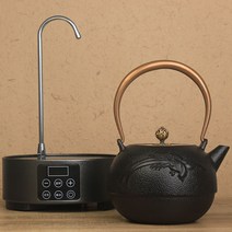 물 주전자 무쇠 주물 전용 주전자 대만다기 티포원 차포트 티포트 차도구 전통찻잔 휴대용다기 탕관 티팟세트, 옵션12