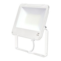 오스람 레드밴스 LED 사각 투광등 투광기 20W 30W 50W 70W, 주광색(하얀불빛), 화이트바디