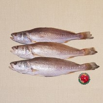 반건조 생선 제수용 생선 제사 생선 선물용 생선 셋트 민어조기 3마리, 35cm 3마리(소)