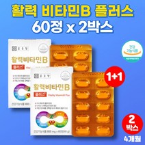 고농축 활력 비타민 b b2 b6 b9 b12 맥스 비 플러스 복합체 청소년 온가족 영양제 티아민 나이아신 판토텐산 알약 정, 2박스