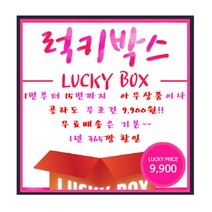 럭키박스(Lucky Box) 아무 상품을 골라도격 해피 박스 무료배송은 기본~, 14번