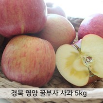 경북 영양 꿀부사 사과 최상품 5kg 15-16과, 단품