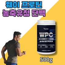 WPC 농축유청 단백 분말 단백질 헬스 보충제 웨이 프로틴 20대 30대 40대 영양 보충 건강관리, WPC 농축유청 단백질 1통