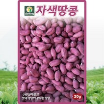 자색땅콩 씨앗 땅콩씨 종자 20g
