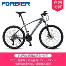 영국 raleigh 제트스트림 티타늄자전거 사바파이크 k3 팻바이크 자이언트 mtb 산악 inch, 27 속도A, 26인치
