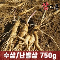 금산인삼 5년근 6년근 수삼 난발삼 원수삼 세척무료 750g 1채, 2. 세척- 난발 소 750g 14~20뿌리