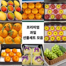 고품질 최고급 혼합 과일선물세트 설날 선물세트, 애플망고 6과 선물세트