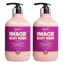 위스티 이미지 향기 좋은 등드름 완화 바디워시 러블리프렌즈 500ml, 2개