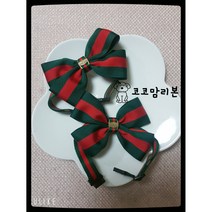 삼선강아지보타이