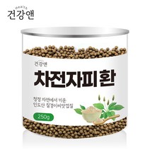 건강앤 차전자피 환 250g 계량스푼증정