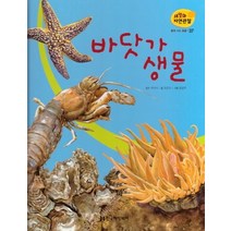 물에 사는 동물 37: 바닷가 생물, 한국헤밍웨이, 최은규(저),한국헤밍웨이