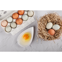 난각번호1번 방사 계란 유정란 자연방사 방목 달걀 산속식육점 20구 30구