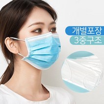 덴탈 치과용 약국 일회용 마스크 100매 개별포장