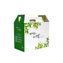Bs2 자체제작 한약박스 자연이주는선물(중) 50장 _ 23010498EA, 본상품선택