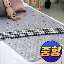 한일의료기 무자계 전기요 침대 전기매트 휴대용 전기장판, 무자계 하우스윌 그레이 [중형]
