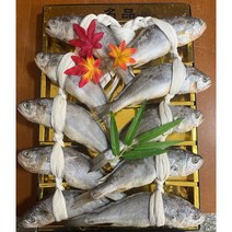 영광 법성포 명절 추석선물 오가 프리미엄 굴비 1.0kg 10미