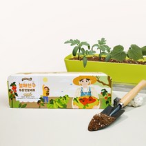 꿈쟁이 저면관수 열매친구 투톤 텃밭세트 키우기 방울토마토 오이 1세트, 단품