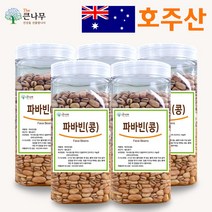 The큰나무 호주산 파바빈 콩 1kg 원물 23년산 햇 파바빈 수입사 직판 TV홈쇼핑 공급사, 5개