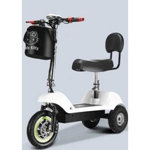 노인 전기스쿠터 3륜 삼륜스쿠터 노인 전동스쿠터, 파란색 24V