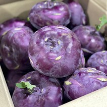 국내산 제주도 콜라비 햇콜라비 적콜라비, 제주 콜라비5kg