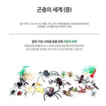 [장식소품] 키즈인 곤충의세계 곤충모형 어린이 아기 장난감 핫아이템, 본상품선택